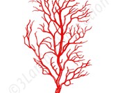 Coral Branch Nature Print 8 x 10 Nautical Summer Home Decor Illustration