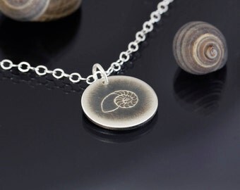 Tiny Chambered Nautilus Shell Necklace