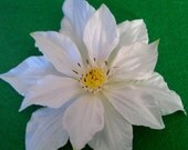 ON SALE White flower, wedding, clip, Hawaii, tropical flower, Hawaiian hair flower, hair, flower, white hair flower, ready to ship