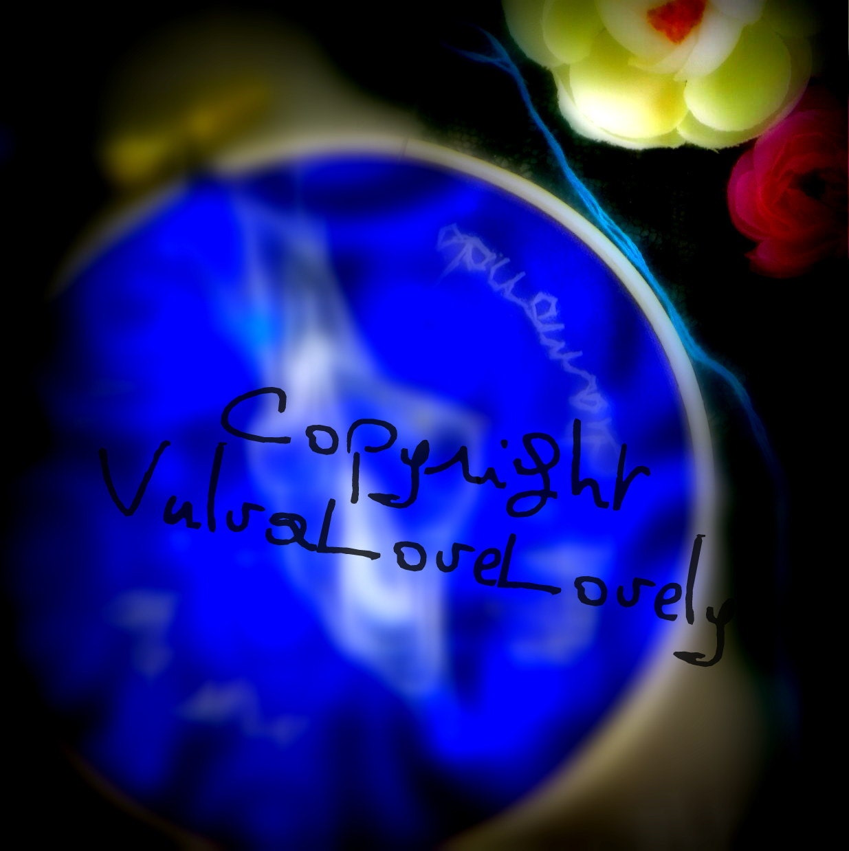 Anatomical Embroidery: Blue Stars- Vulva Vagina mature