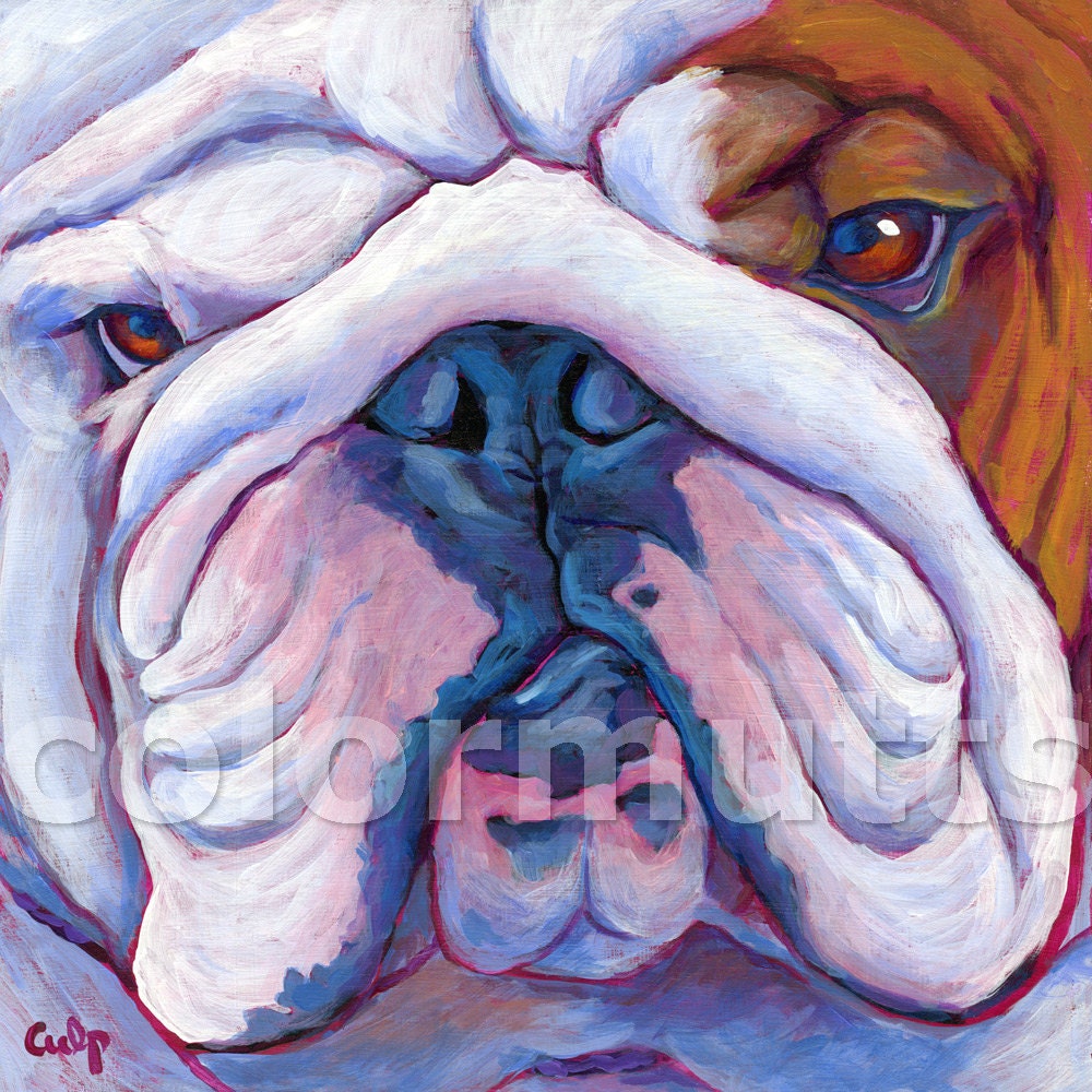 BULLDOG Face Original Dog Art Painting 12x12 by Lynn Culp