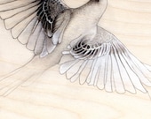 bird in flight small art print