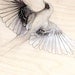 bird in flight small art print