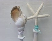 HALF PRICE SALE / beach cottage shell decor / pair of shells on tall pedestals / shabby beach cottage chic decor
