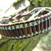 The Bohdi Tree 'Beaded Leather Bracelet'