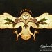 Owl Talisman of Protection - 11x17 Print