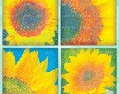 SUMMER SUNFLOWERS Printable Collage Sheet 2in Squares Flowers Floral - no. 0043