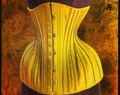 Become a Patron of Artistic Corsetry - bespoke underbust corset with toiles/fittings - completely unique