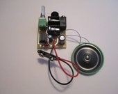 Assembled Kit: Portable Guitar Amp w/ Speaker & 10X Gain