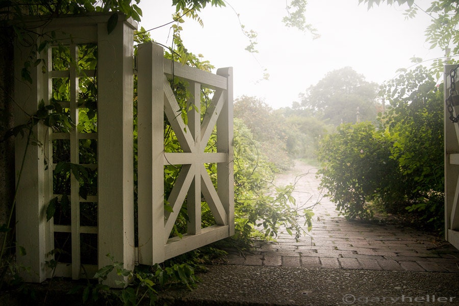 Mystic Garden Gate - Dreamy Art, Color Photography Print, Ethereal Light, Magical, Green Botanical Photograph, Free Shipping