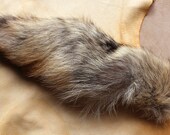 Coyote tail - real eco-friendly wild coyote fur totem tail on carabiner keychain purse charm for shamanic ritual and dance CY03