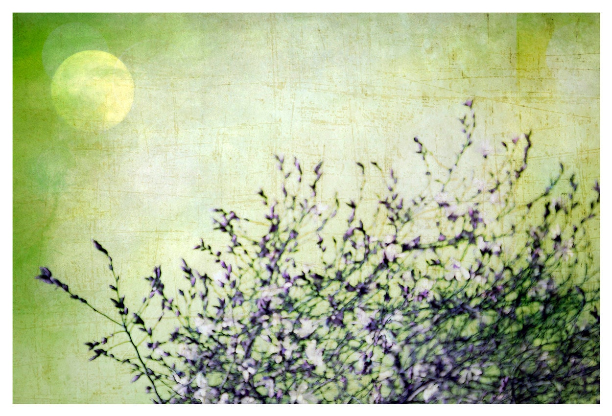 Abstract Photography, spring green, tree branches, purple, moon,  Sister Planet, nature fine art print 8x10