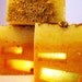 SOAP- Citronella, Cedar & Chamomile Soap, Handmade Soap, Cold Process Soap, Shaving Soap, Soap Gift