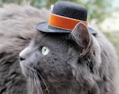 Celebrations Cat (Dog) Hat - Spiced Pumpkin -  Festive Mini Hat