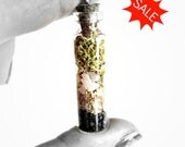 Terrarium Necklace / Specimen Jar / Miniature Vial Pendant / Hypoallergenic Sterling Silver Necklace / Organic Jewelry