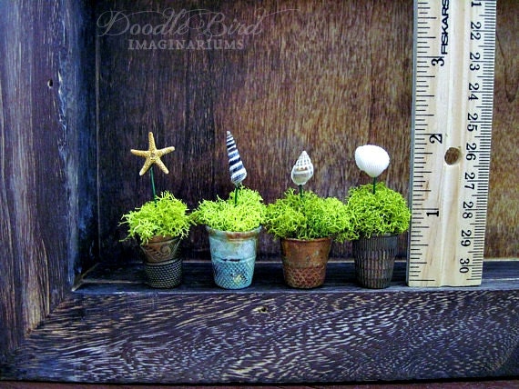 Thimble Planters / Nautical Beach Decor / Miniature Air Plant Containers / Real Sea Shells & Starfish / Collectible Party Favors