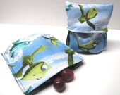 2-PC Reusable Snack Bag Set, Eco Friendly Lunch Kit, Pleated Bottom Bags, Dinosaur Train , Ready to Ship