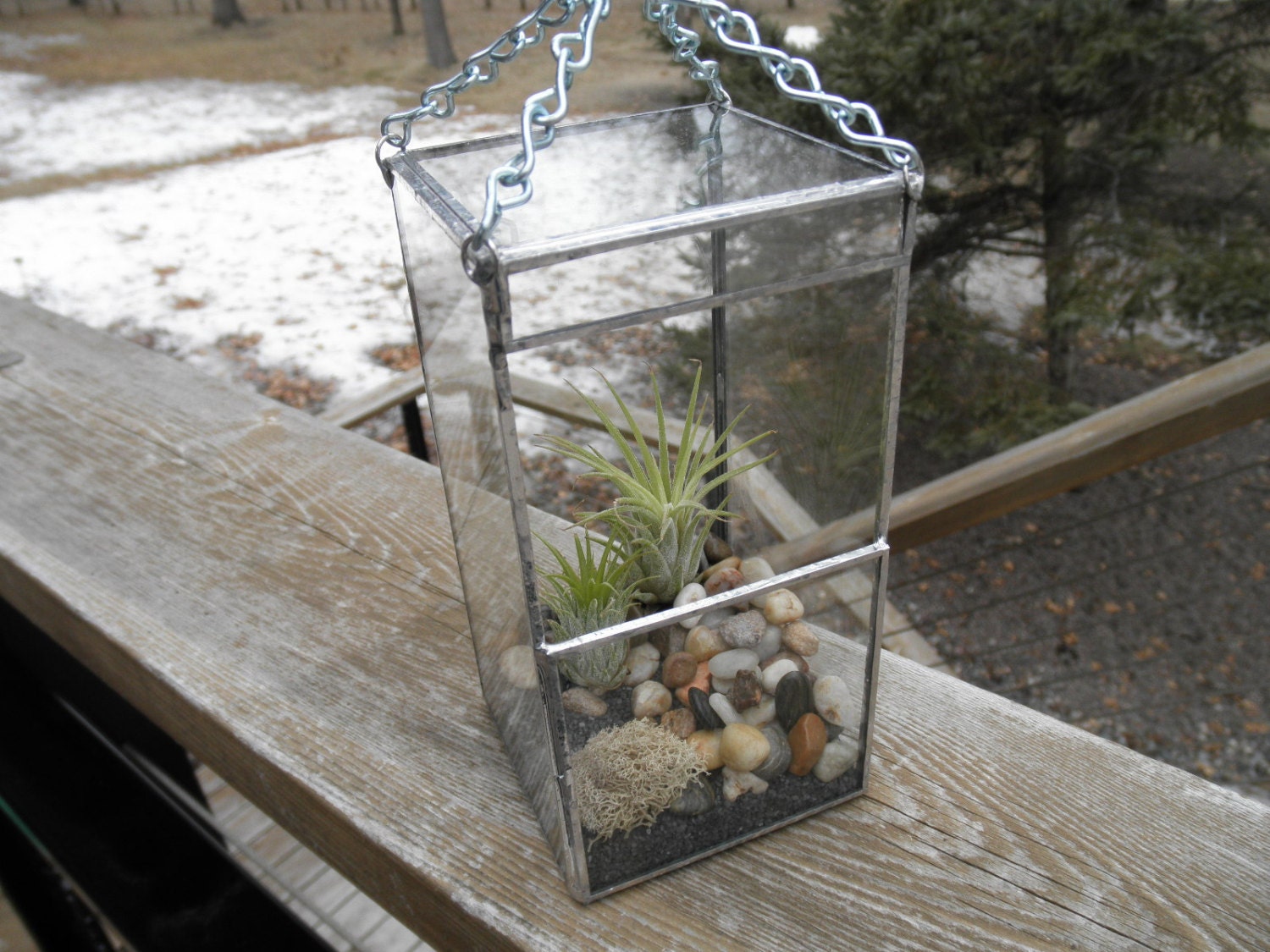 Small Contemporary Hanging Glass Terrarium