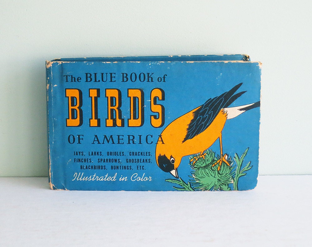 1941 The Blue Book of Birds of America by Frank G. Ashbrook with Illustrations by Paul Moller