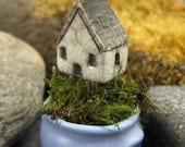 Plant A Home...Miniature House with Periwinkle Planting  Pot