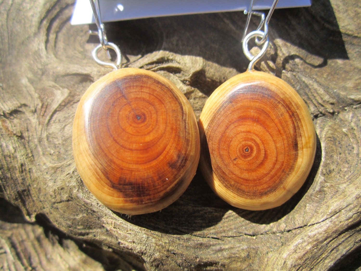 Beautiful Small Sized  Yew Wooden  Earrings-....136