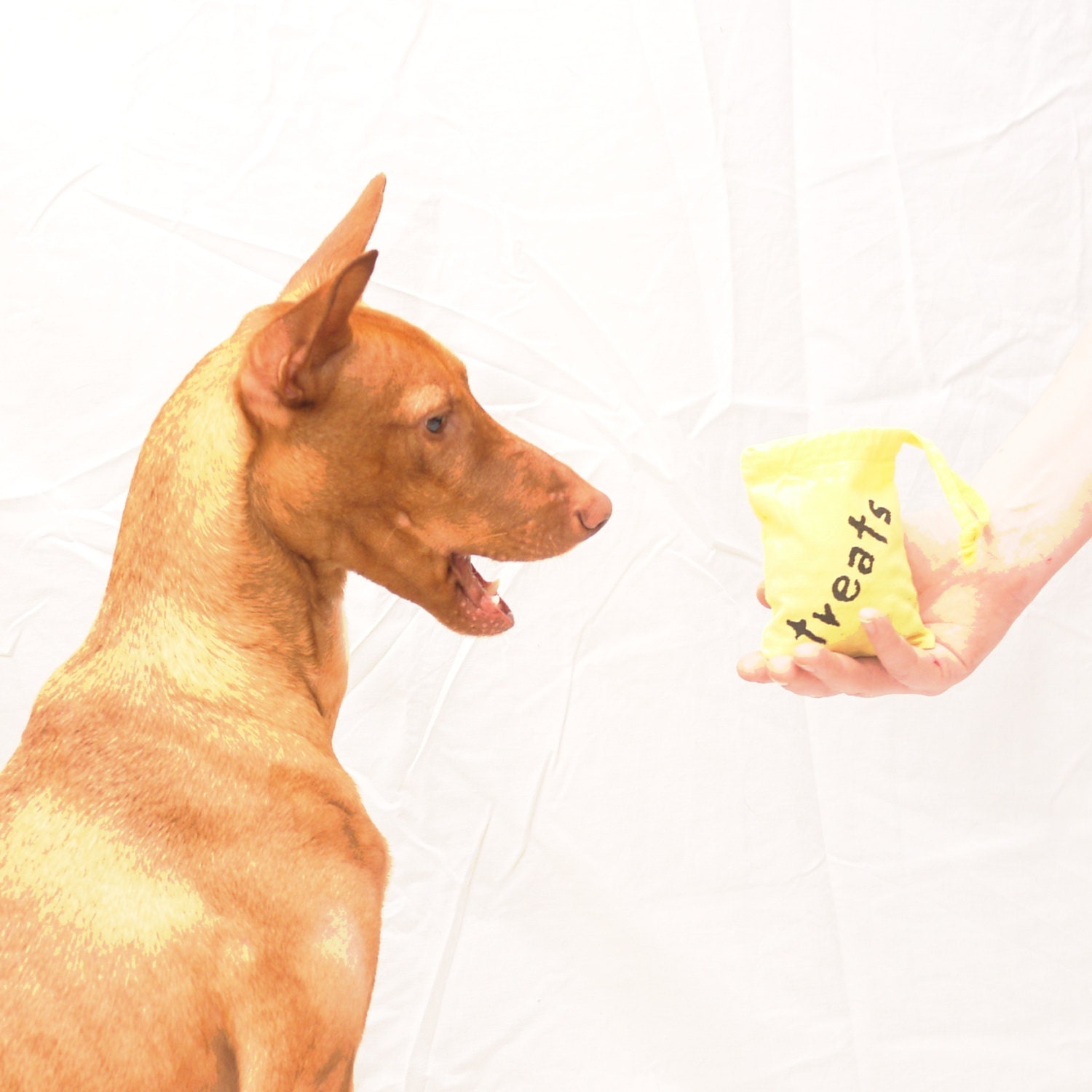 training treats bag - Yellow Dog Project