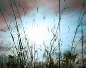 Modern Art Nature Photography 8x10 Mystery Twilight Abstract Photo Print