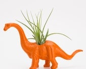 Small Dinosaur Planter with Air Plant Room Decor, College Dorm Geekery, Orange/Royal Blue Dino Decoration