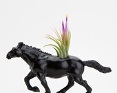 Horse Planter with Air Plant Room Decor, Dorm Room Geekery, Table Ornament, Get Well Gift