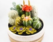 Felted Cactus Garden - White & Yellow Glazed Pot (Extra Large)