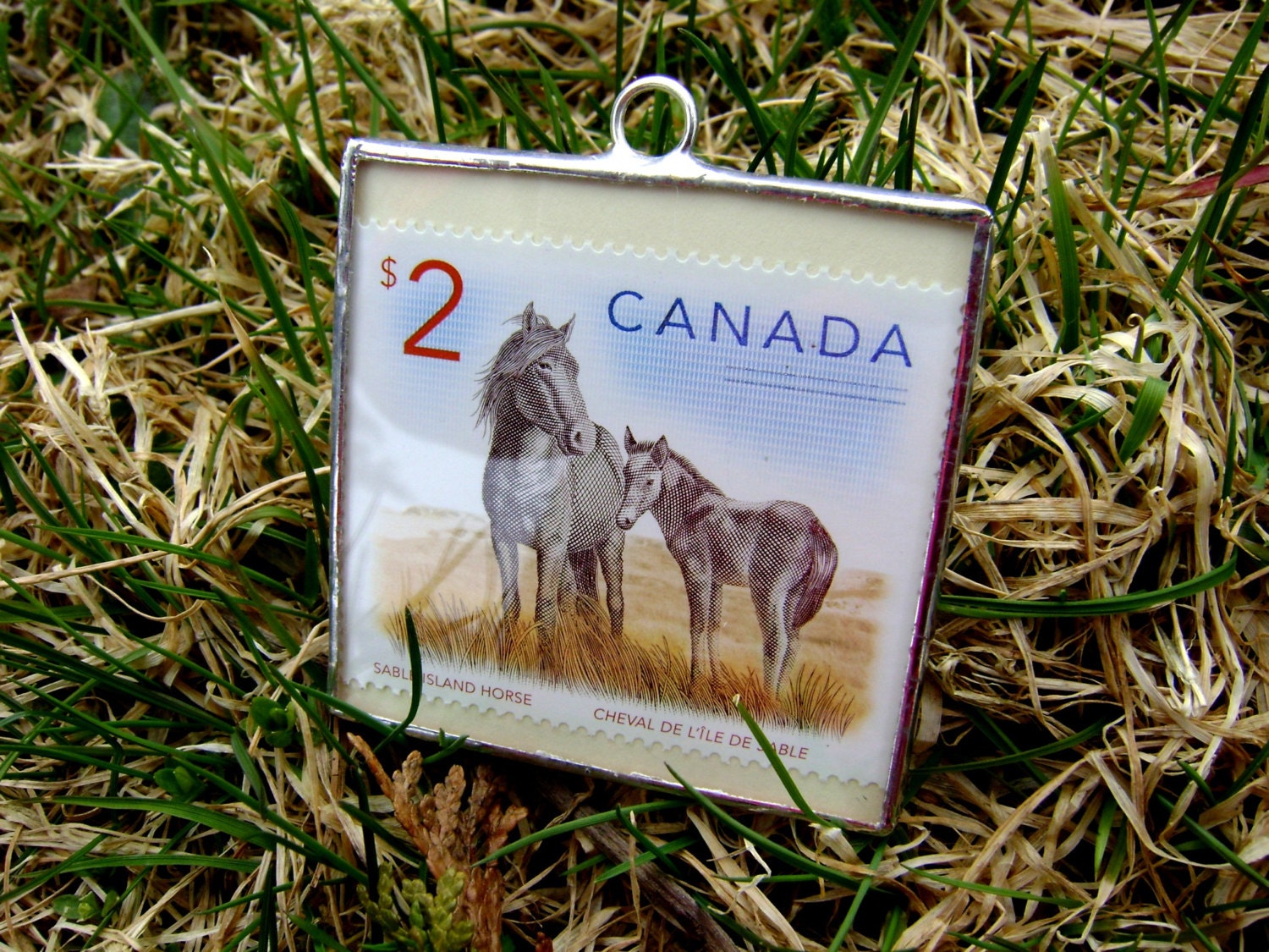 Mothers Day Horse Mare Foal Wild Horses Postage Stamps Sable Island Ponies Glass Ornament Birthday Father Graduation Equine