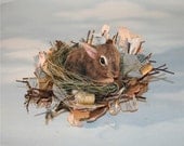 OOAK Needle felted Spring 2 week old Baby Cottontail  Bunny Rabbit in bark grass den for Easter