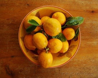 Lemons in bowl still life PRINTABLE  kitchen art  - wall art - rustic food art warm yellow 8x10 10x10 16x20 11x14 20x30