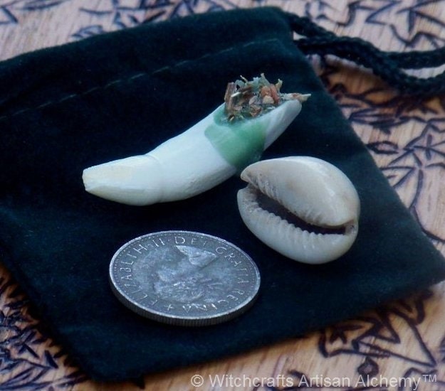 THRICE CHARMED Loaded Alligator Tooth, British Sixpence, Cowrie Shell Charm Mojo for Protected Good Luck, Fortune, Prosperity, Success