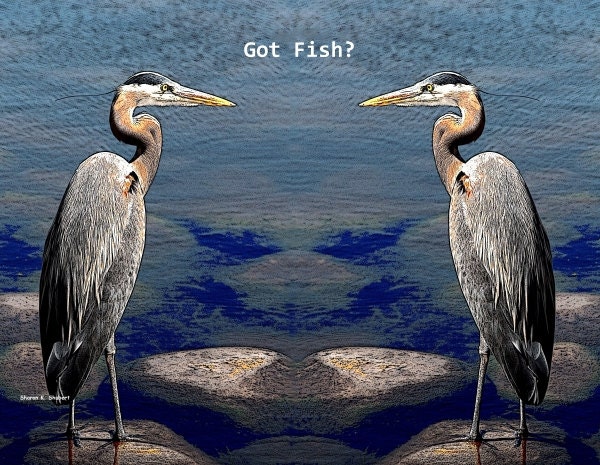 Silly Blue Herons Wall Decor Egret Digital Print Art with Text Humor Funny 8 x 10 Giclee Print