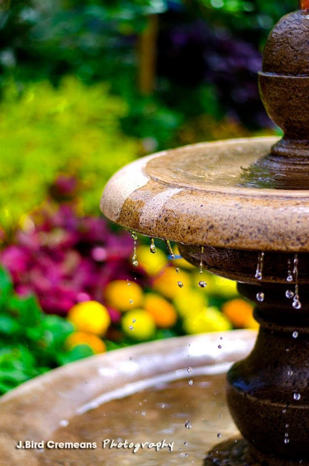 Droplets 6x9 photograph