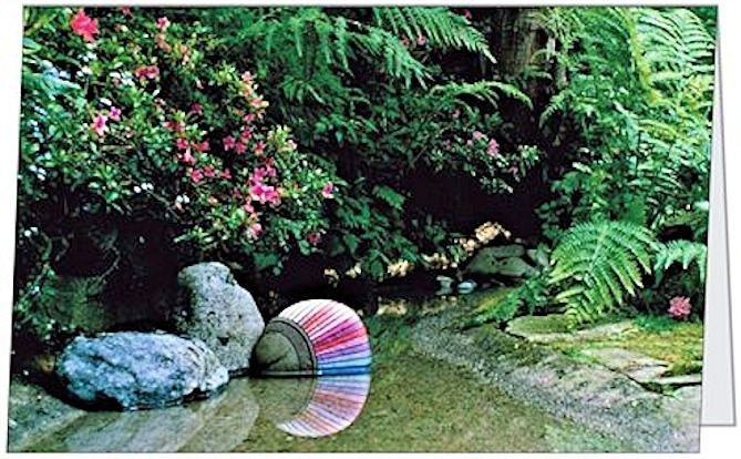 Note Card, Blank, Folded, Unique Garden Pond Scene Photo, 5" by 7", with Envelope