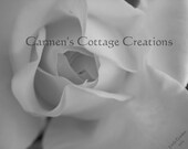 8" by 10" Black and White Rose Photograph Print, Ready for Framing