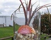 BEACH DECOR seashell art arrangement orange nautical coastal