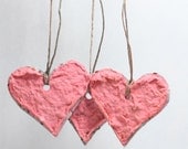 10 Plantable Mini Heart Tags Or Favors (Made From 100% Recycled Handmade Paper Embedded With Wildflower Seeds) you choose color and twine