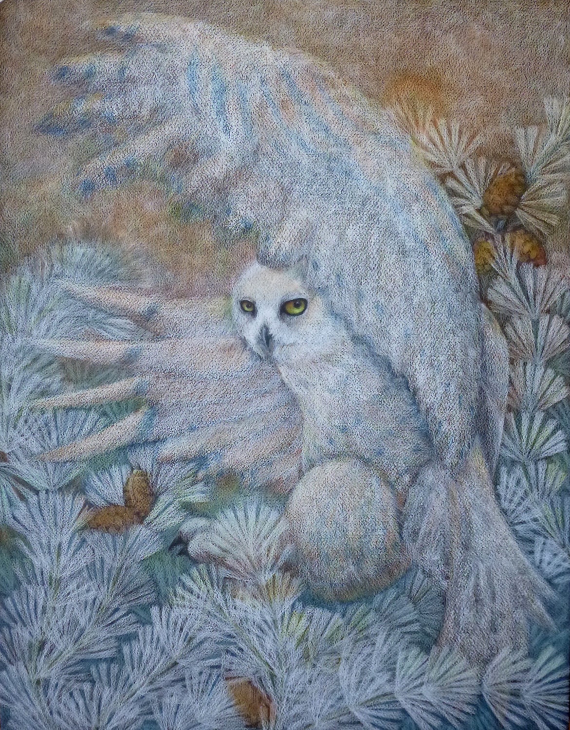 Snowy Owl Landing in Frost Covered Pine