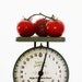 Check the Weight - Antique 1906 American Family Scale - Green - Kitchen - Food - Home Decor - Vintage