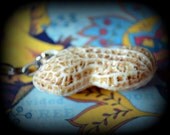 Kitchy Peanut Keychain - Circus Freaks Novelty Key Fob Chain Dingey - Gifts for Weirdos - Awesomeness