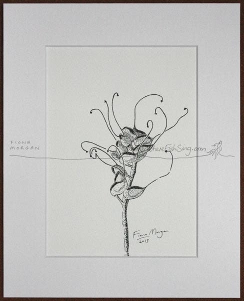 AUSTRALIAN FLOWER Nature illustration ORIGINAL Drawing Botanical Black & White pen ink zen mindfulness