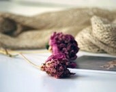 Hand knitted scarf from natural linen.  Ready to ship.