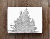 Sketched Tree Drawing - 3x4 Original Nature Wall Art