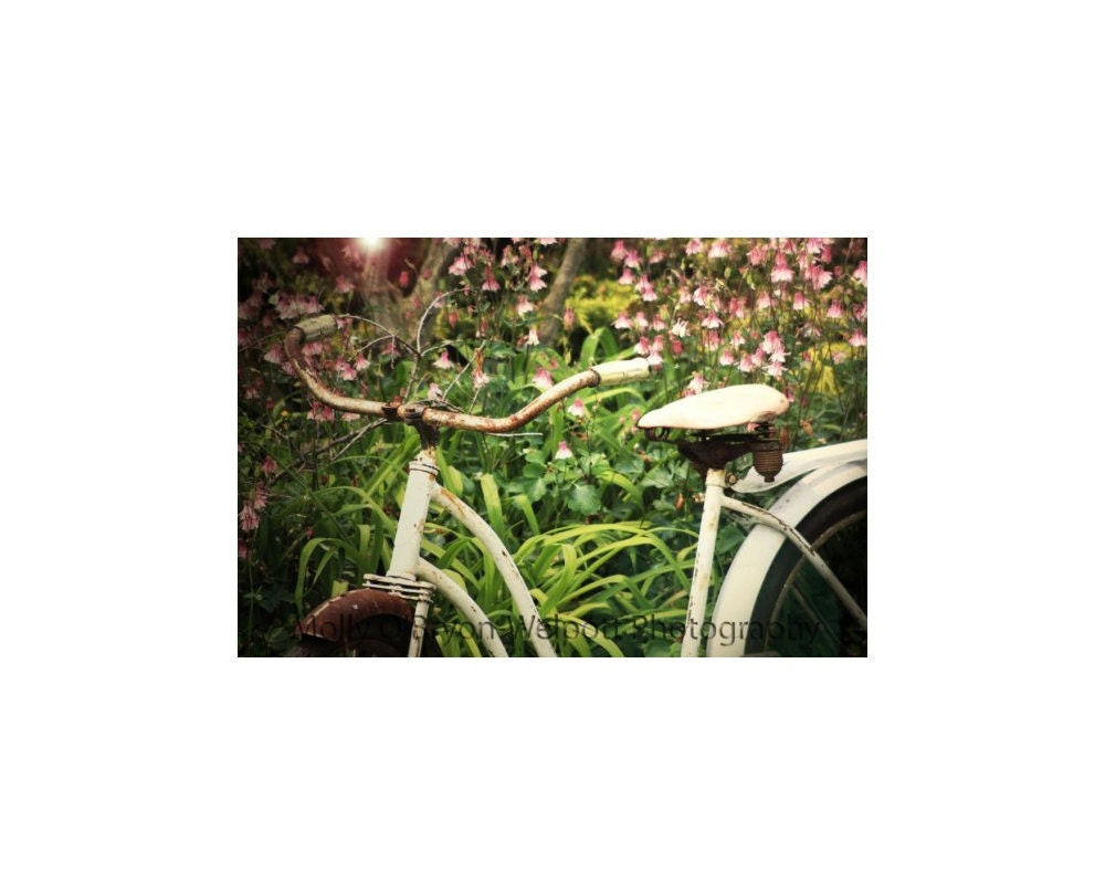 Bicycle Art Photo, shabby chic photography, cottage style photography, Home Decor, pastel colors