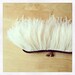 Monogrammed Ivory Ostrich Feather with curved frame