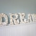 5pc Beach Decor Seashell Letters - Nautical Decor Shell Letters Spell DREAM in White or Natural
