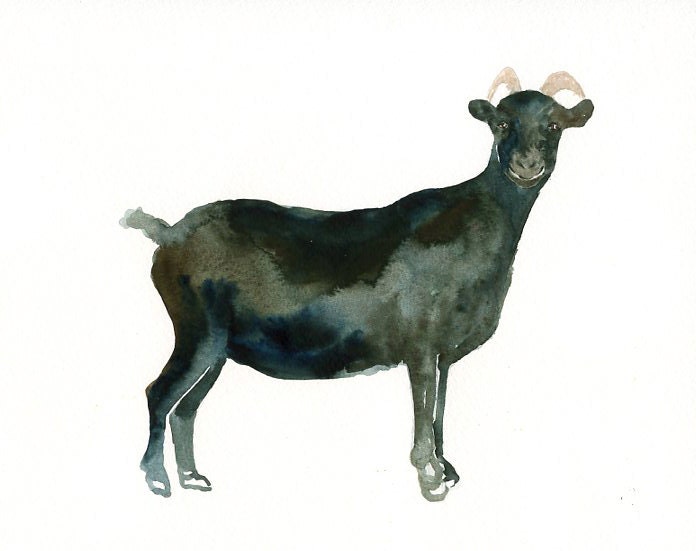 BLACK GOAT Original watercolor painting 10X8inch